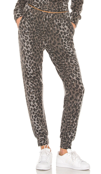 Michael Stars Jenny Snow Leopard Jogger Pants In Grey Multi