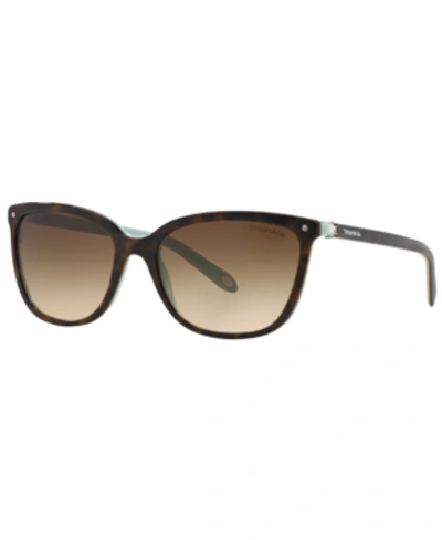 Tiffany & Co Sunglasses, Tf4105hb 55 In Brown Gradient