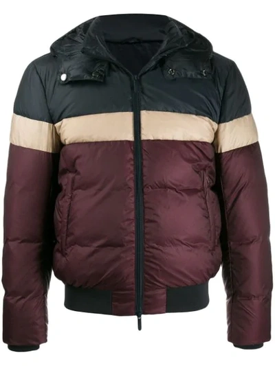 Emporio Armani Padded Hooded Jacket In Black