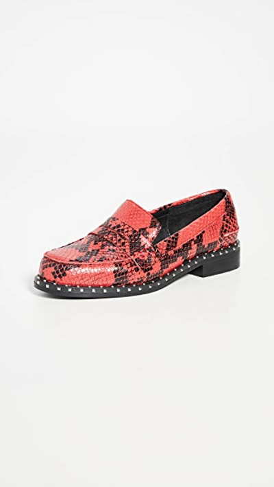 Sol Sana Lloyd Loafers In Red Snake