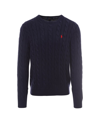 Polo Ralph Lauren Cotton Sweater In Blue