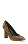 Vince Camuto Candera Pointed Toe Pump In Smokey Brown Leather