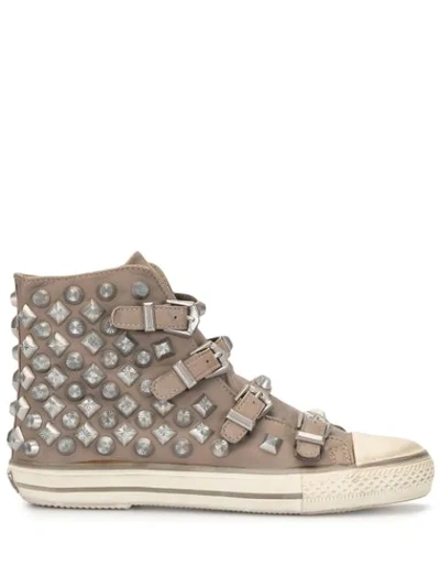 Ash Virgin Perkish Taupe Leather Buckle Trainers In Brown