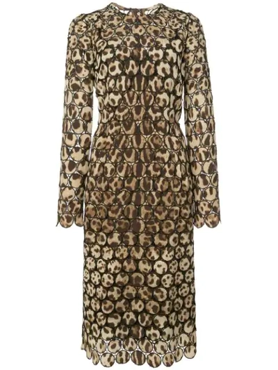 Dolce & Gabbana Embroidered Leopard Print Dress In Brown