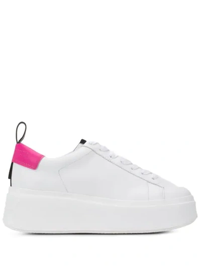 Ash Neon Heel Platform Trainers In White/pink