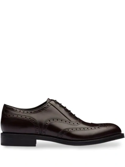 Prada Oxford-style Brogues In Brown