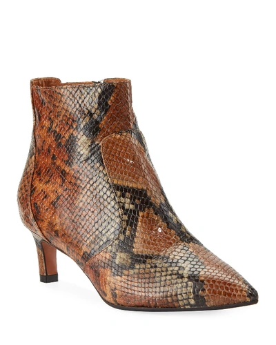 Aquatalia Marilisa Snake-print Leather Booties