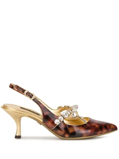 Dolce & Gabbana Tortoiseshell Crystal Embellished Pumps In Gold