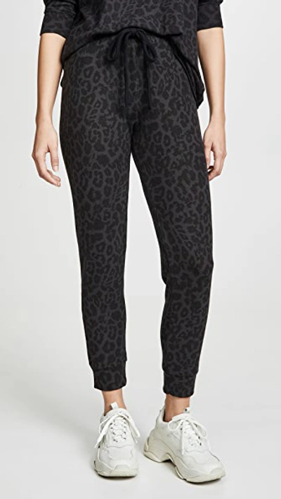 Lna Leopard Print Pull-on Pants In Black Leopard