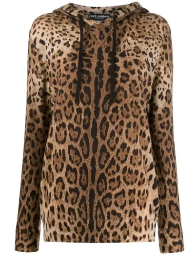 Dolce & Gabbana Leo Print Cashmere Hoodie Style Jumper In Brown
