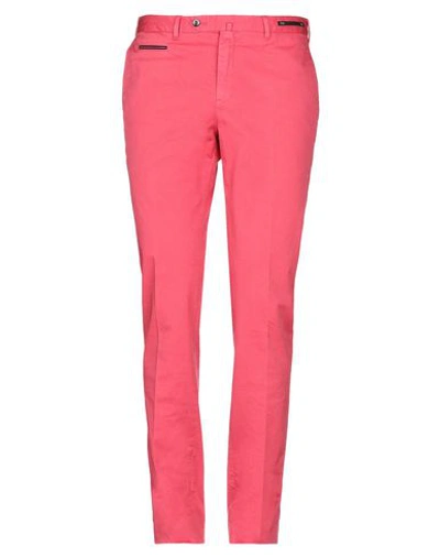 Pt01 Pants In Pink