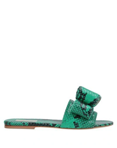 Polly Plume Sandals In Green