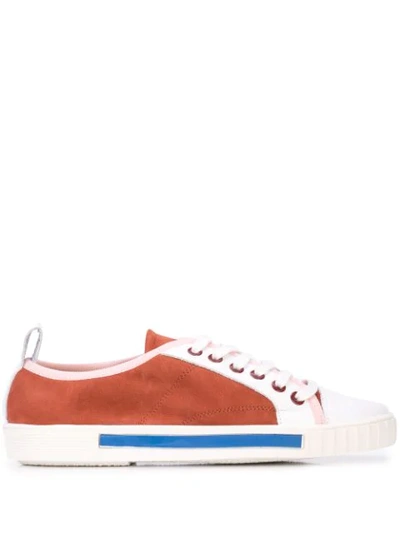 Carven Lace Up Sneakers In Brown