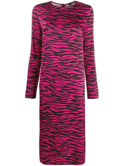 Andamane Zebra Print Dress In Pink