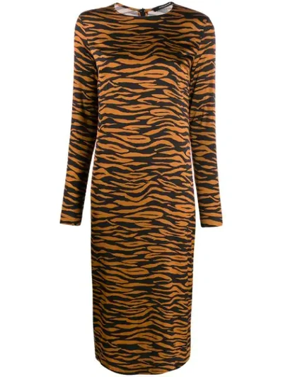 Andamane Zebra Print Dress In Brown