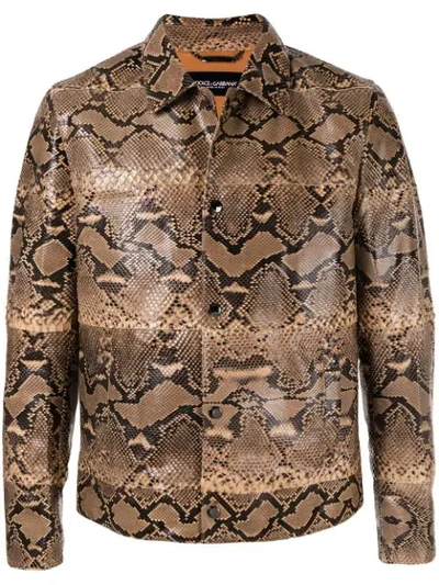 Dolce & Gabbana Blouson Jacket In Brown