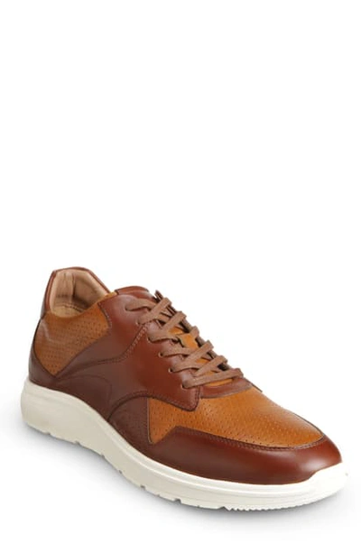 Allen Edmonds Osborn Sneaker In Walnut/ Brown