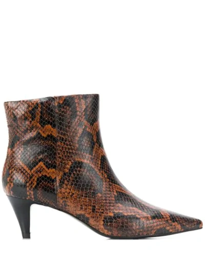 Ash Cameron Pointed Ankle Boots In Brown