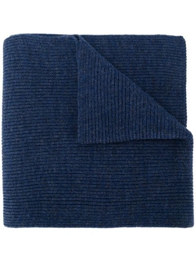 Polo Ralph Lauren Ribbed Logo Scarf In Blue