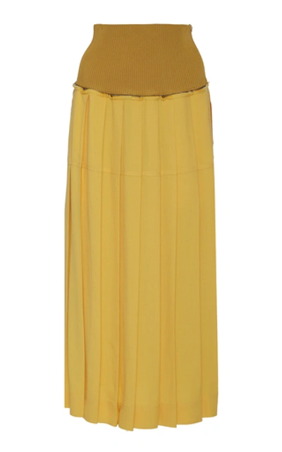 Peter Do Two-tone Pleated Crepe Maxi Skirt In Yellow