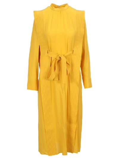 Stella Mccartney Long Dress In Calendula Yellow