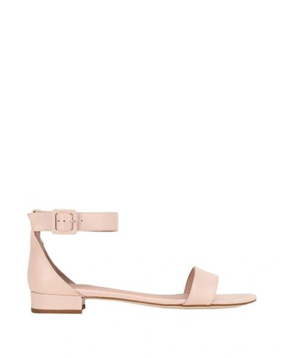 8 By Yoox Sandals In Light Pink