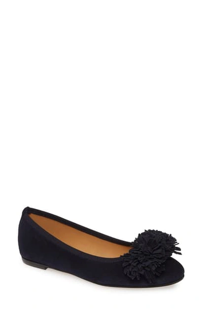 Patricia Green Kerry Skimmer Flat In Navy Suede