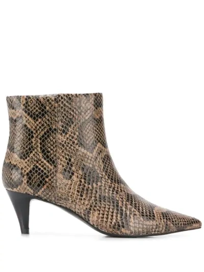 Ash Snake-effect Ankle Boots In Brown