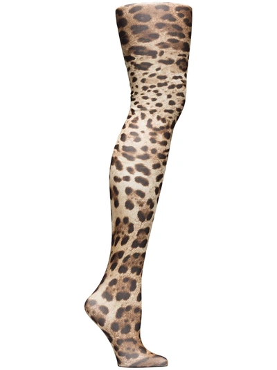 Dolce & Gabbana Leopard Print Tights In Tulle In Brown