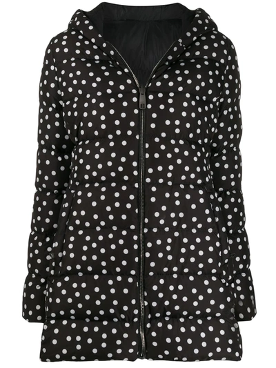 Dolce & Gabbana Fitted Down Jacket With Hood And Polka Dot Print In Black