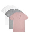 2(x)ist Men's 3-pack Slim T-shirts With Deep V Neck In Woodrose/gray