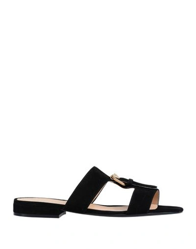 Sergio Rossi Sandals In Black