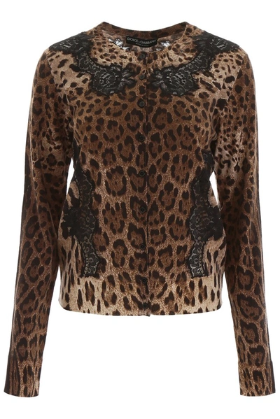 Dolce & Gabbana Leopard Lace Insert Cardigan In Multi