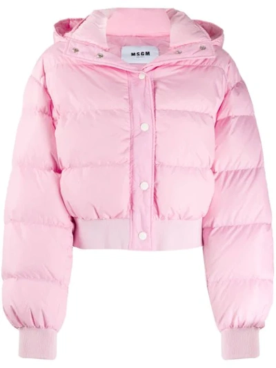 Msgm Cropped Down Jacket W/ Hood In Pink
