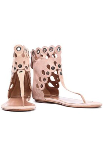 Alaïa Eyelet-embellished Laser-cut Suede Sandals In Blush