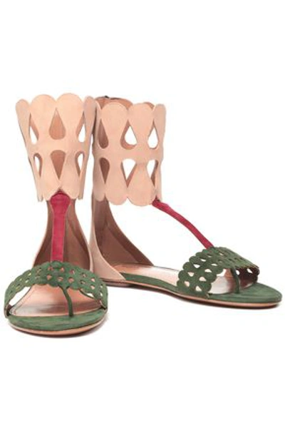 Alaïa Color-block Laser-cut Suede Sandals In Blush