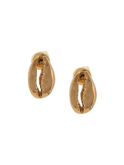 Tohum Concha Puka 10 Earrings In Gold