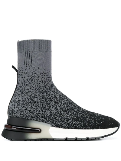 Ash Sock Sneakers In Grey