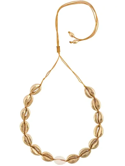 Tohum Concha Puka 30 Necklace In Gold