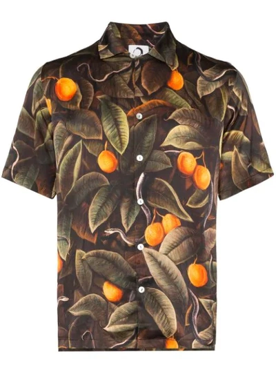 Endless Joy Snaker Printed Short-sleeved Shirt In Multicolour