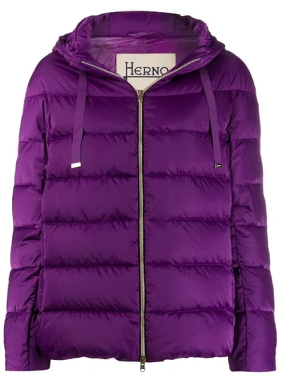 Herno Hooded Puffer Jacket In Purple