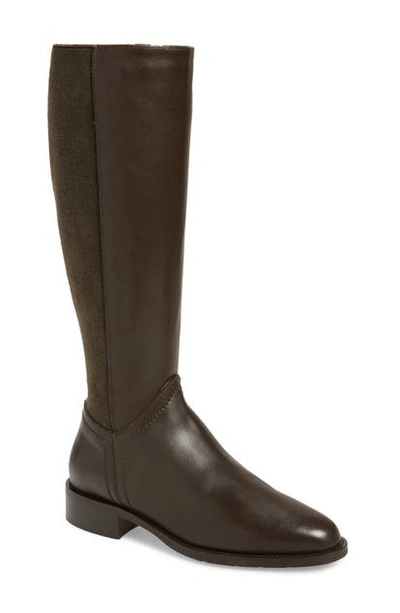 Aquatalia Women's Nia Knee-high Stretch-suede & Leather Boots In Espresso
