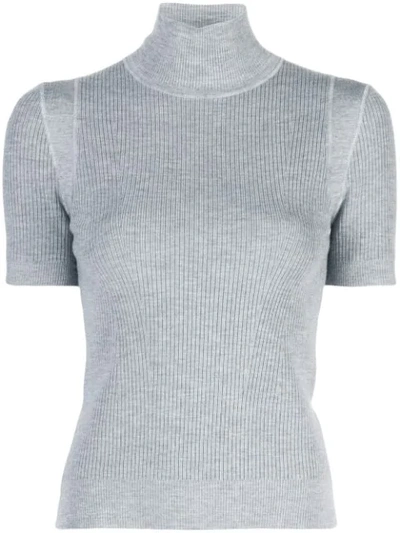 Jason Wu Short-sleeve Turtleneck Rib Jumper In Grey