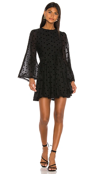 Tularosa Nicole Dress In Black