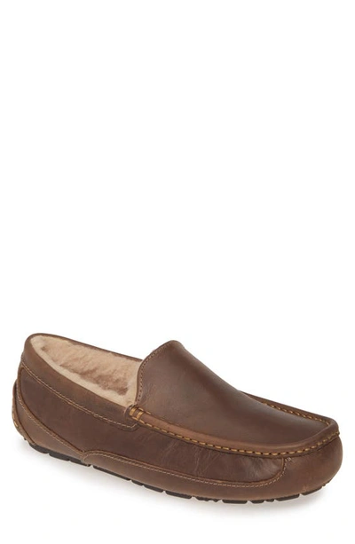 Ugg Ascot Leather Slipper In Espresso Suede