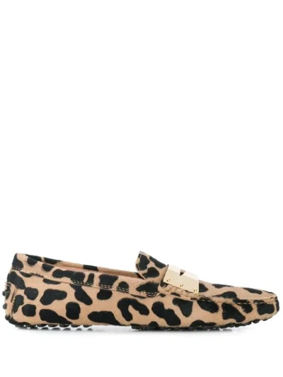 Tod's Animal Print Loafers In Neutrals