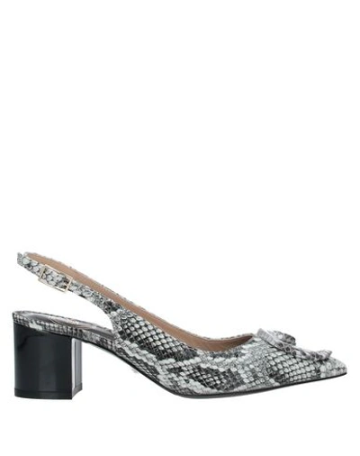 Cavalli Class Pumps In Black