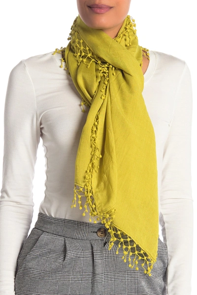 La Fiorentina Wool Silk Blend Scarf In Lime