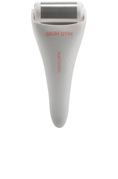 Skin Gym Ice Coolie In N,a