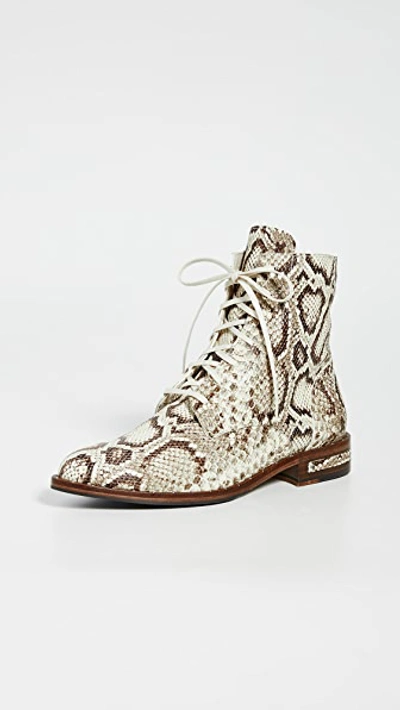Freda Salvador Ralf Snake Embossed Lace-up Boot In Vanilla